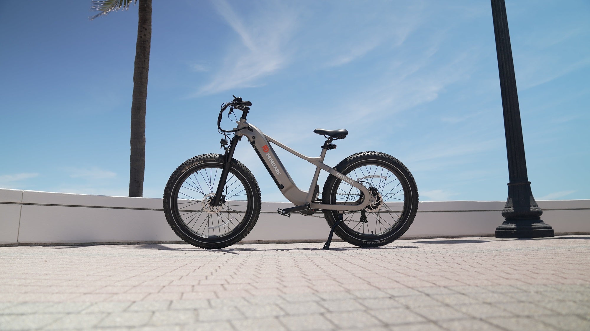 Freedare Best Fat Tire Electric Bike