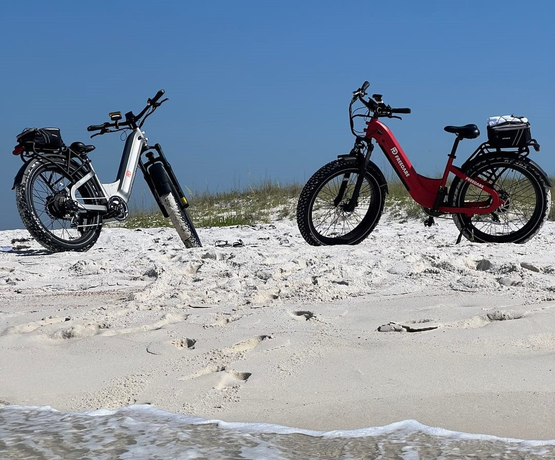 California fat tire electric bikes 