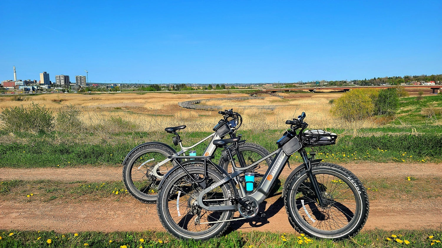 freedare fat tire ebike in usa