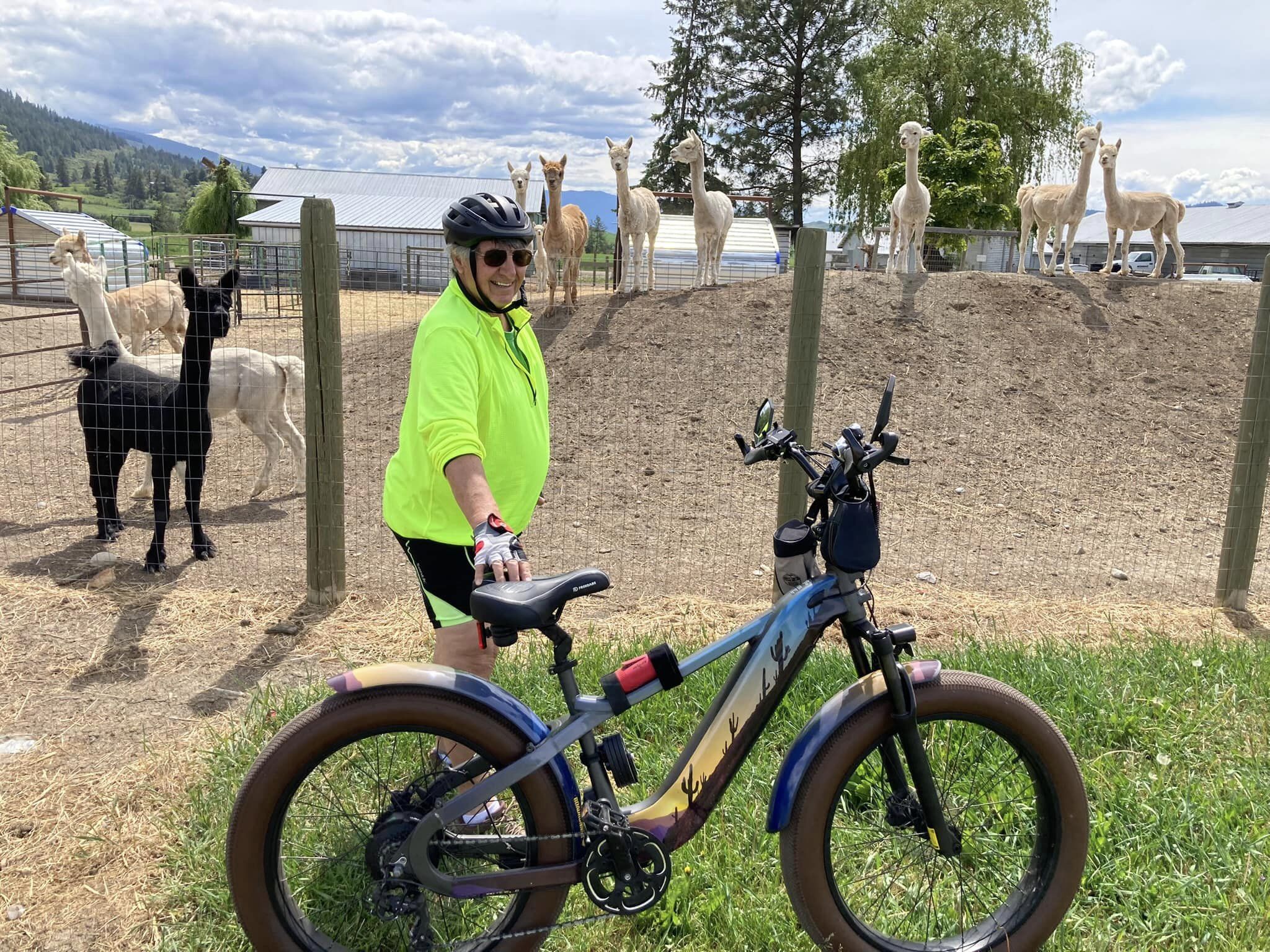 freedare saiga electric bike in USA