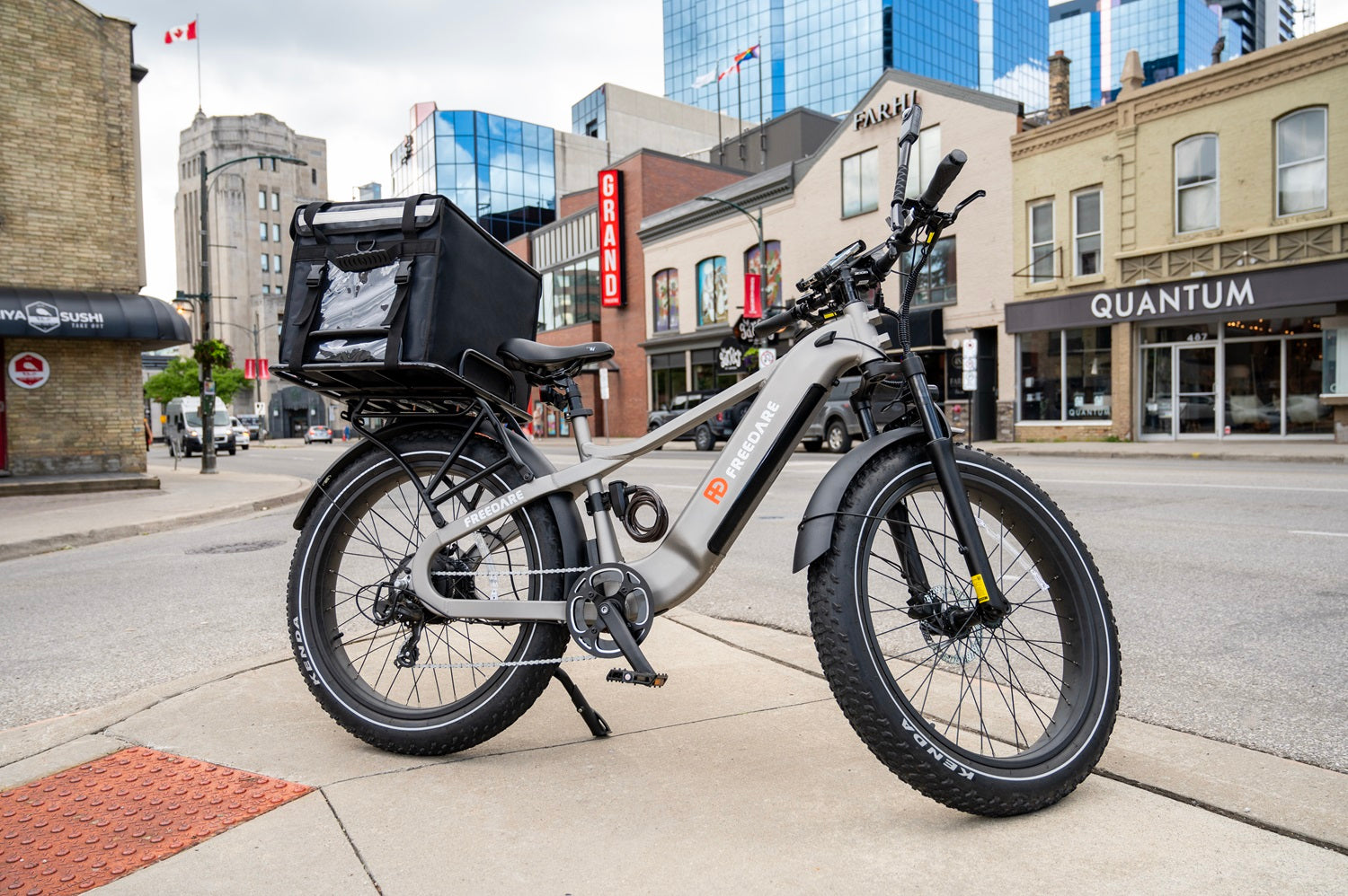 best fat tire ebike for adult canada