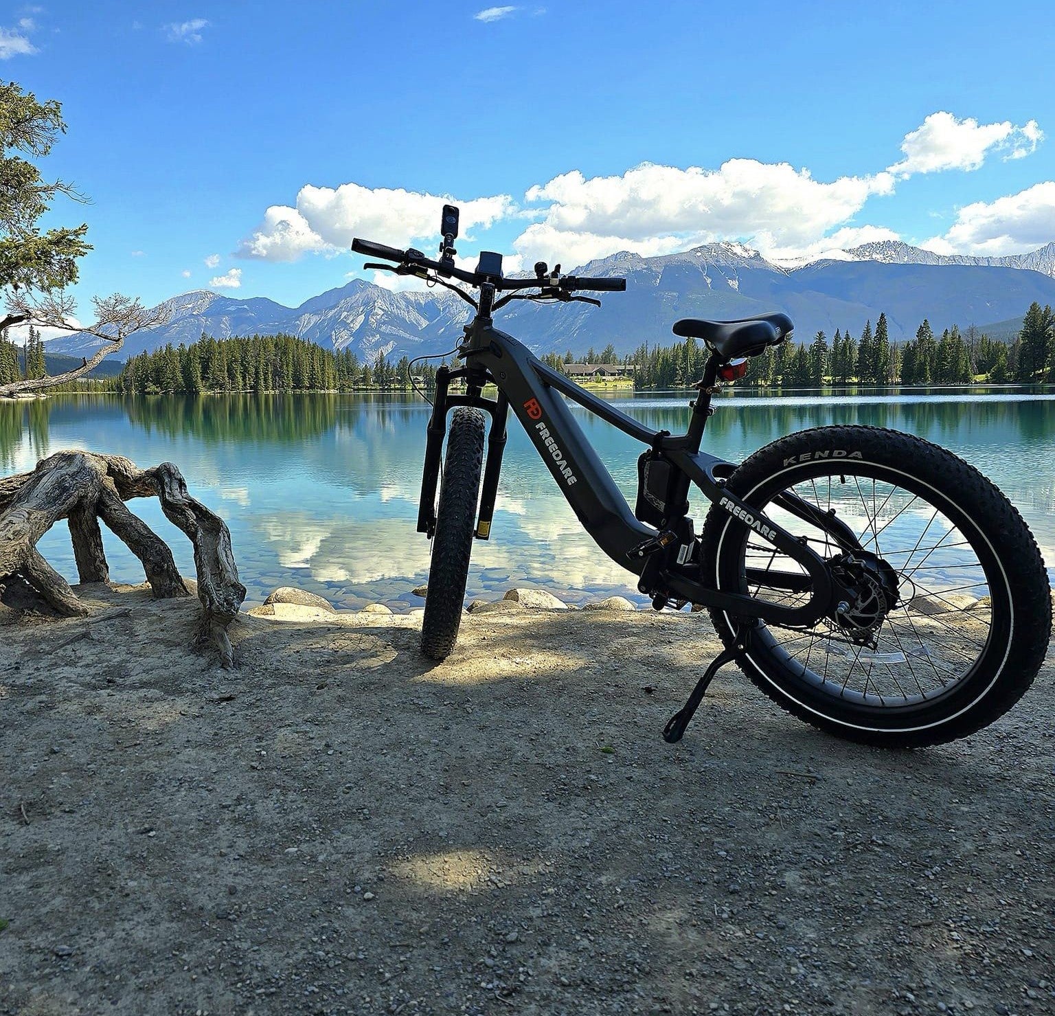 saiga all terrain fat tire ebike