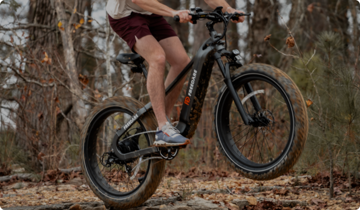 Fat Tire Ebikes